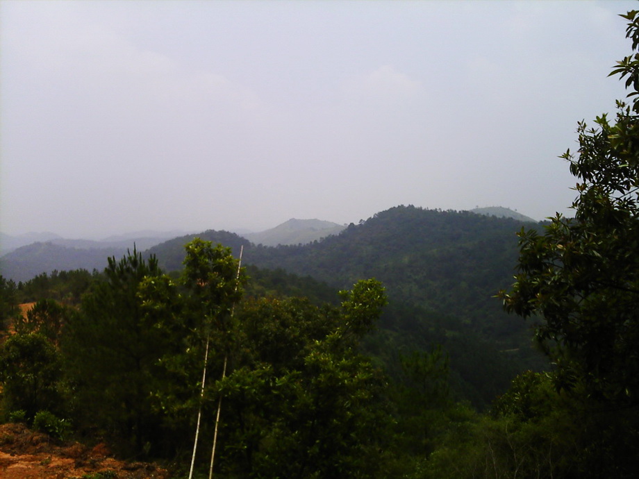 8G_0009.jpg