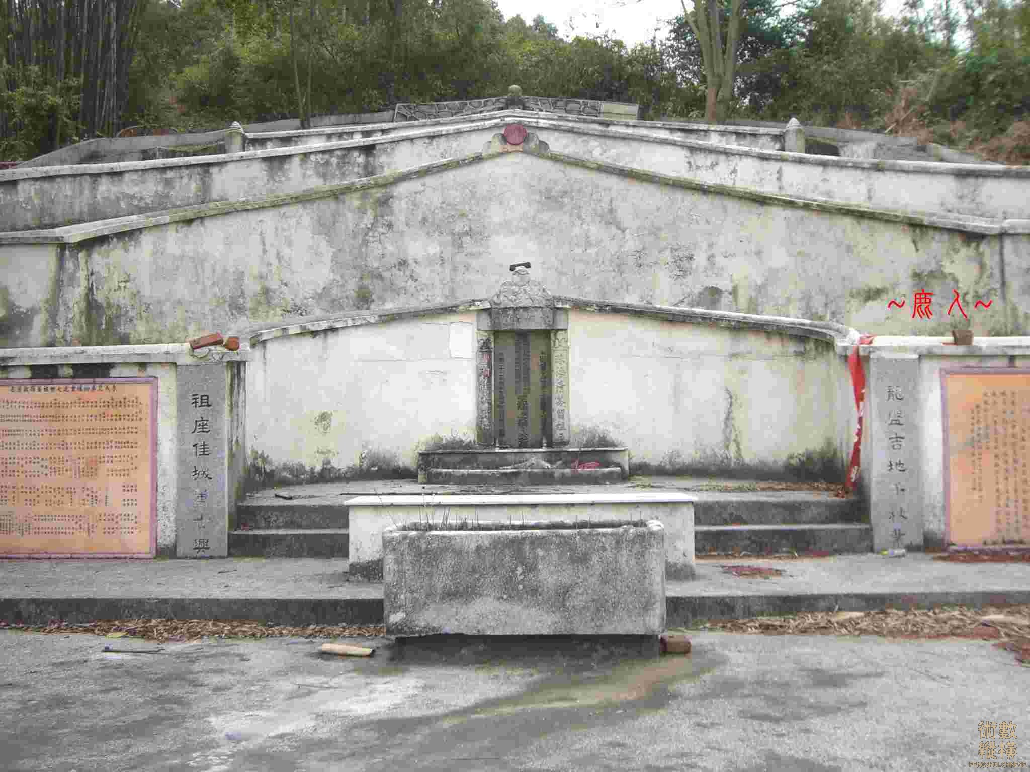 CIMG3254.JPG