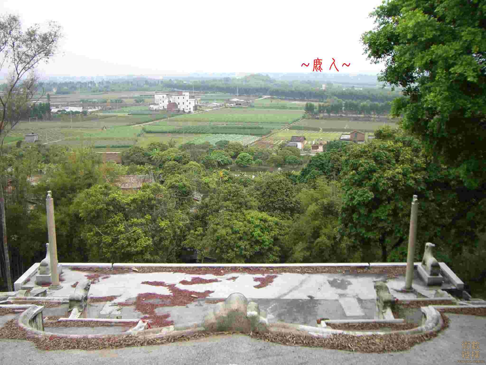 CIMG3258.JPG