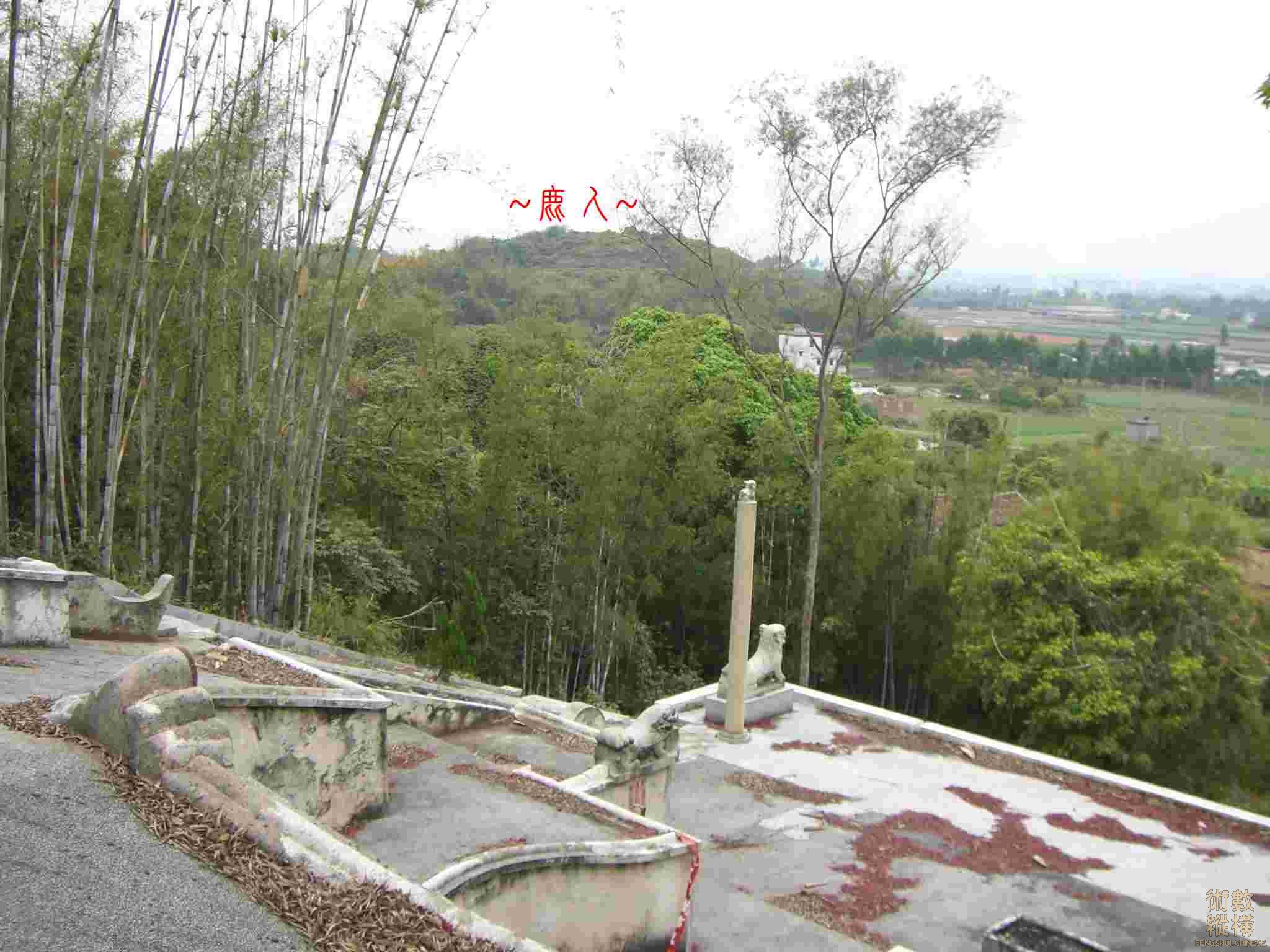 CIMG3259.JPG