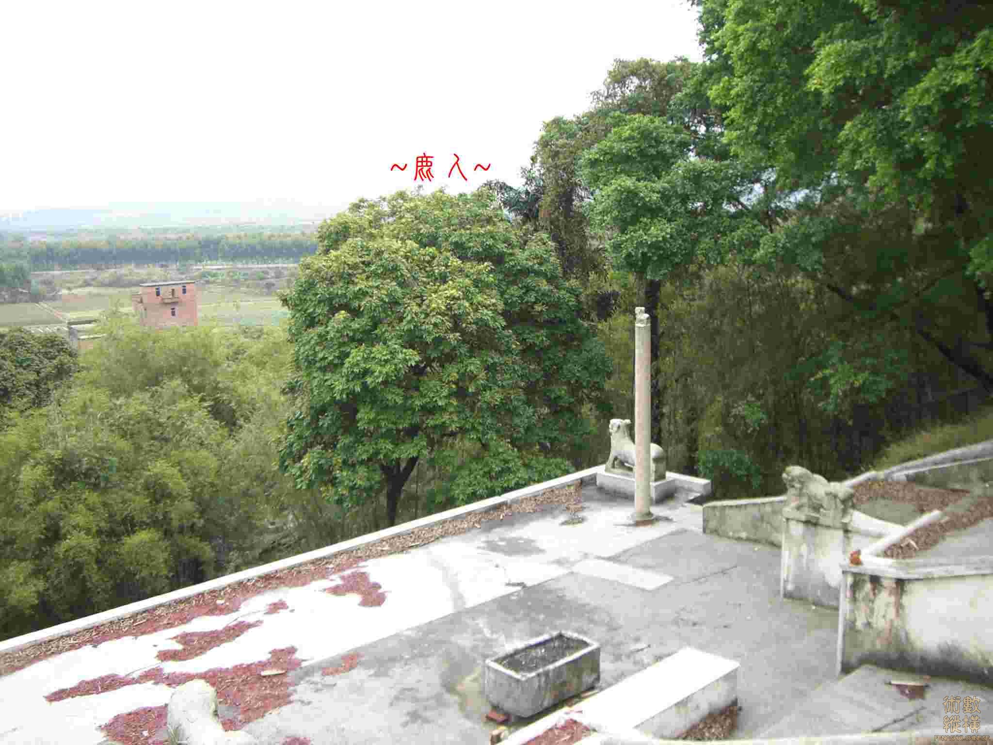CIMG3260.JPG
