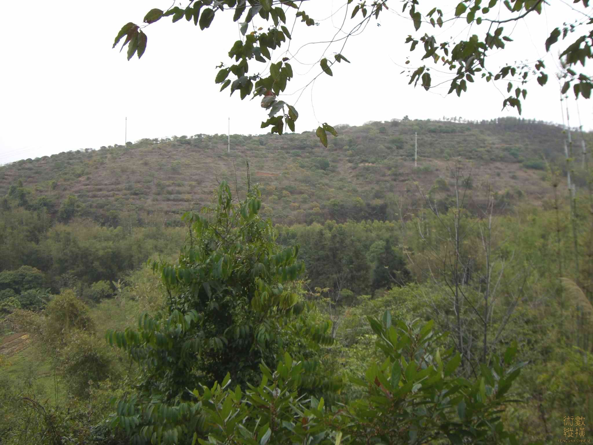 CIMG3268.JPG
