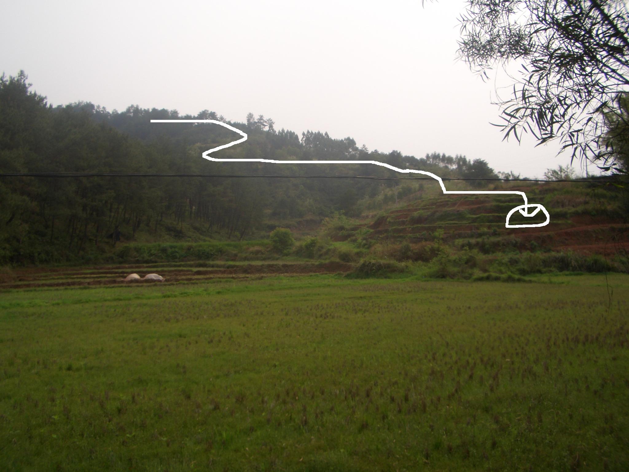 上次选在蛇头，后来高人说选在七寸