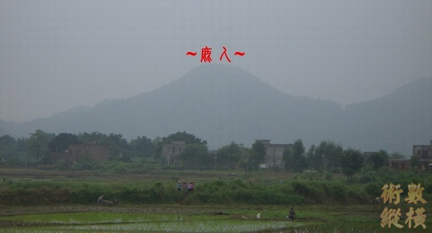 CIMG9090.JPG