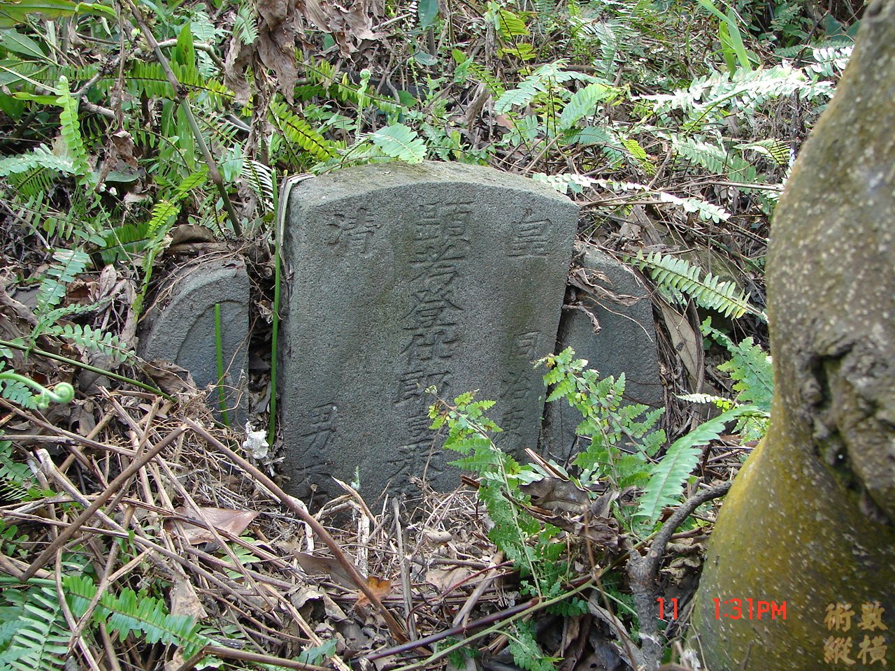 古墓(二)
