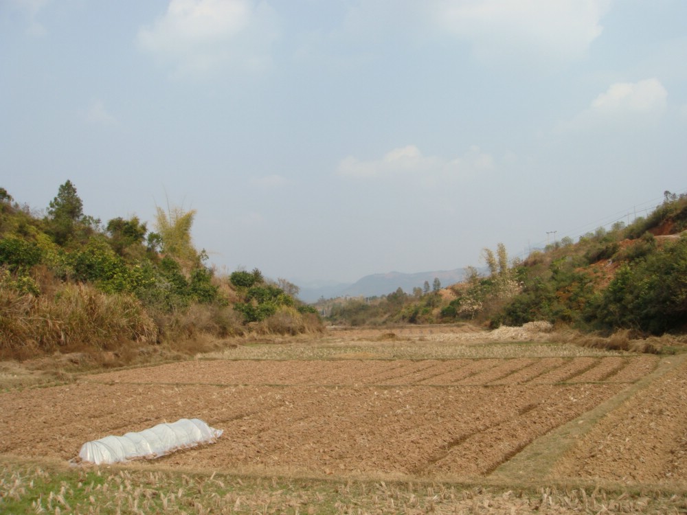 DSC00201.jpg