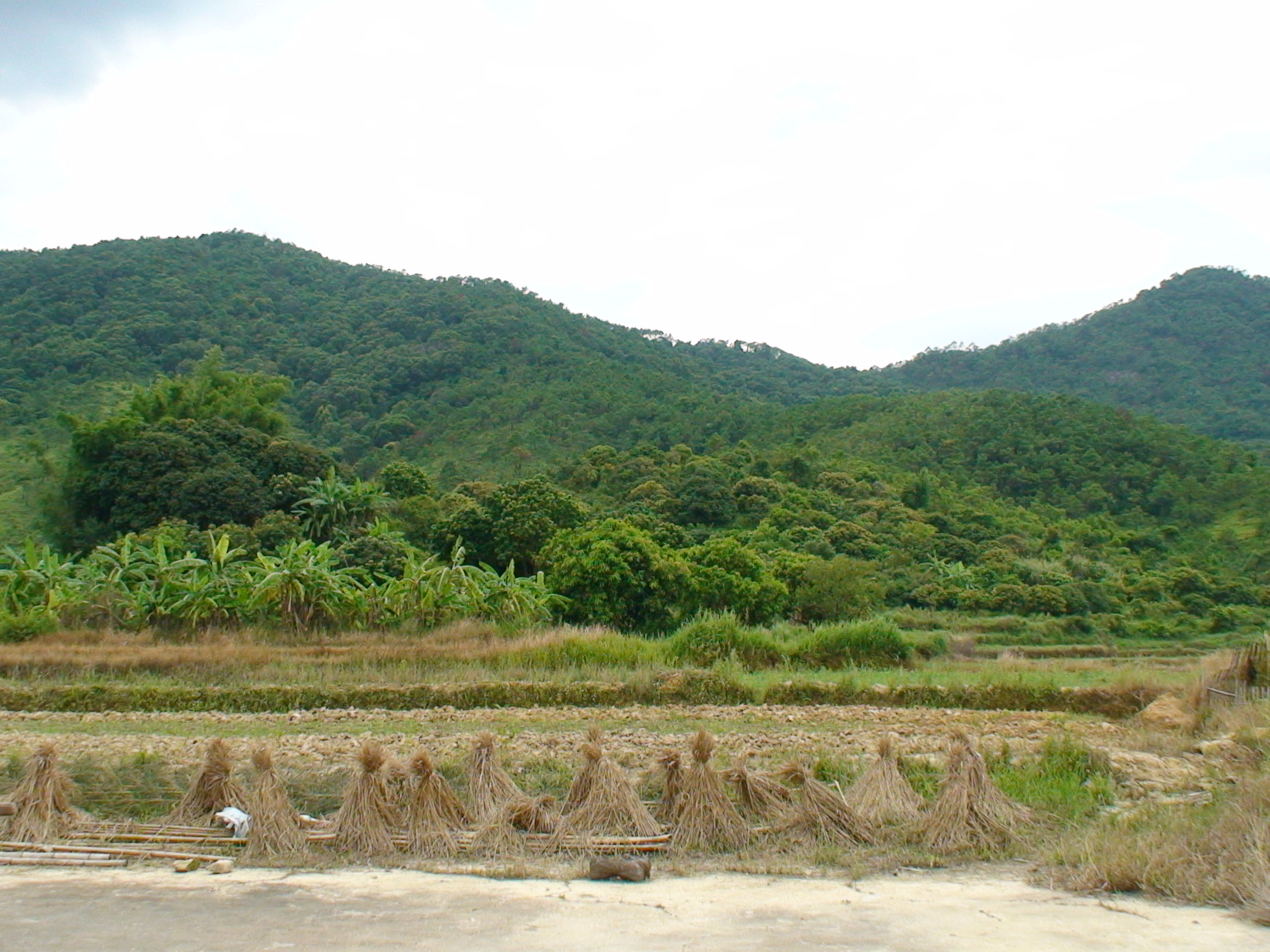 DSC00327.JPG