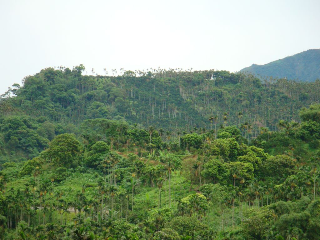 DSC00730.JPG