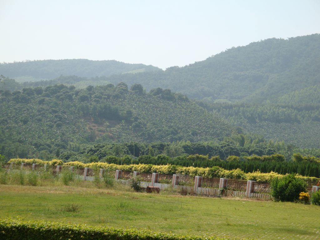 DSC00831.JPG