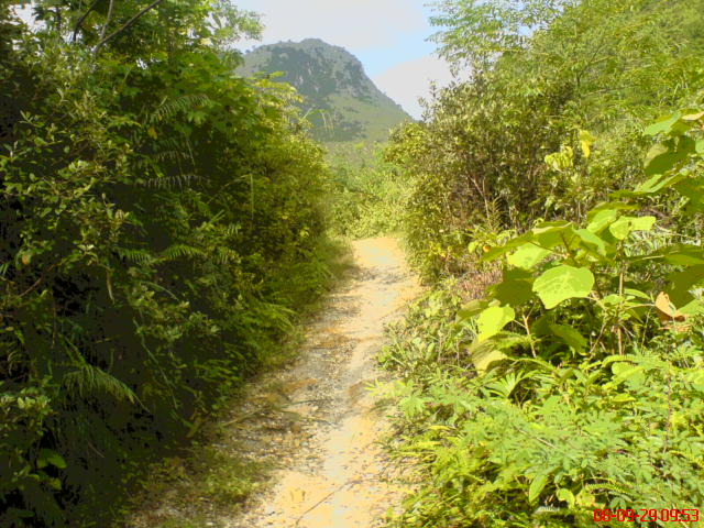 入首