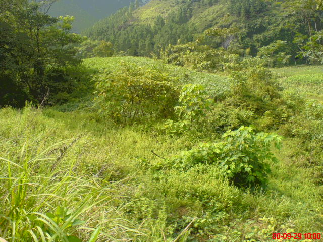 下手砂，青龙