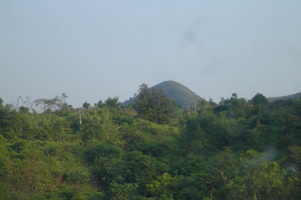 DSC01339.jpg