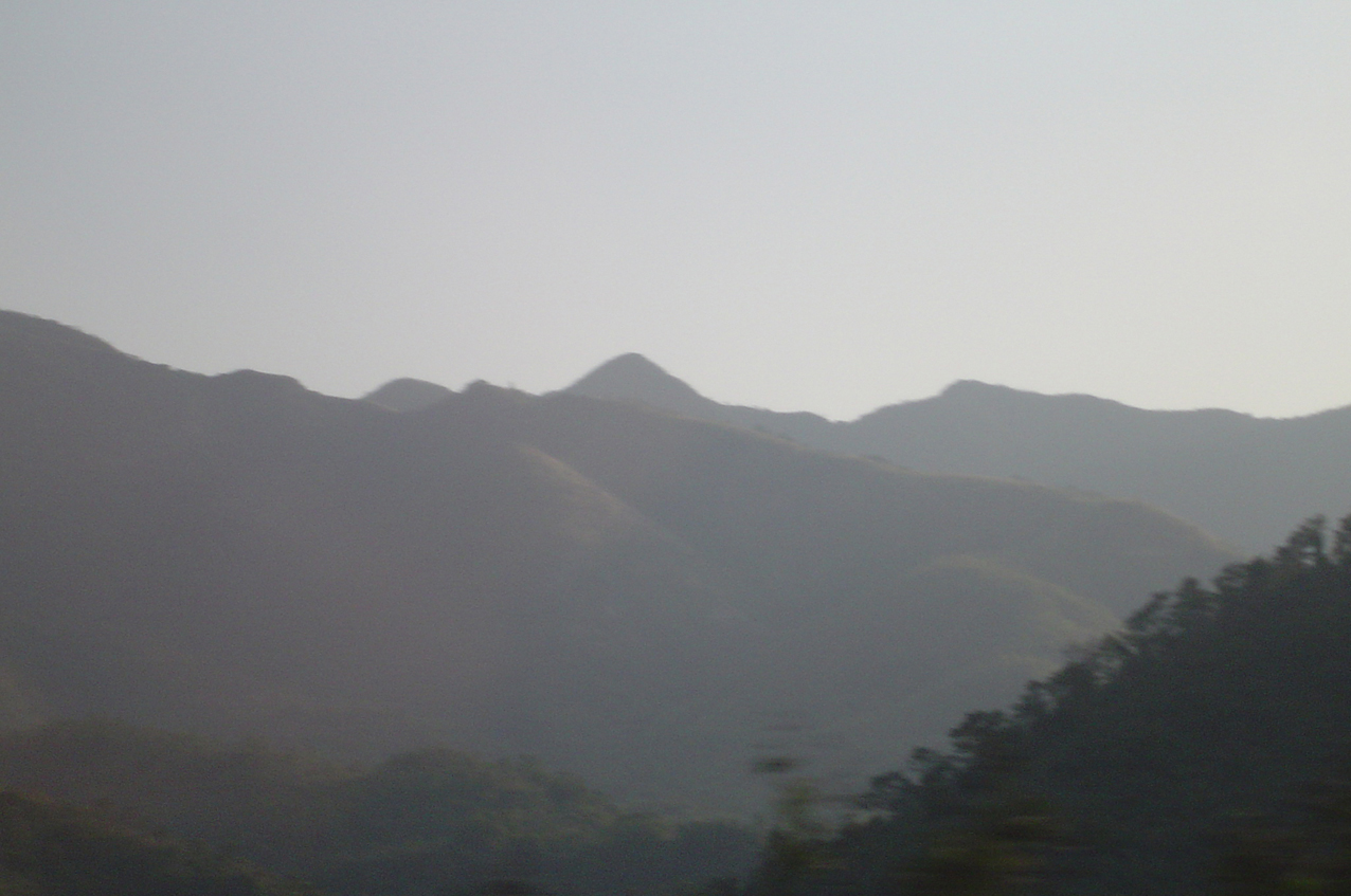 DSC01355.jpg