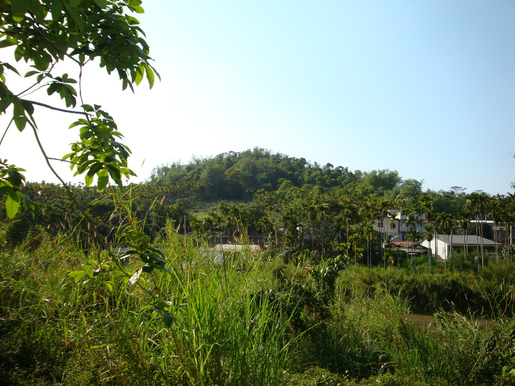 DSC01757.JPG