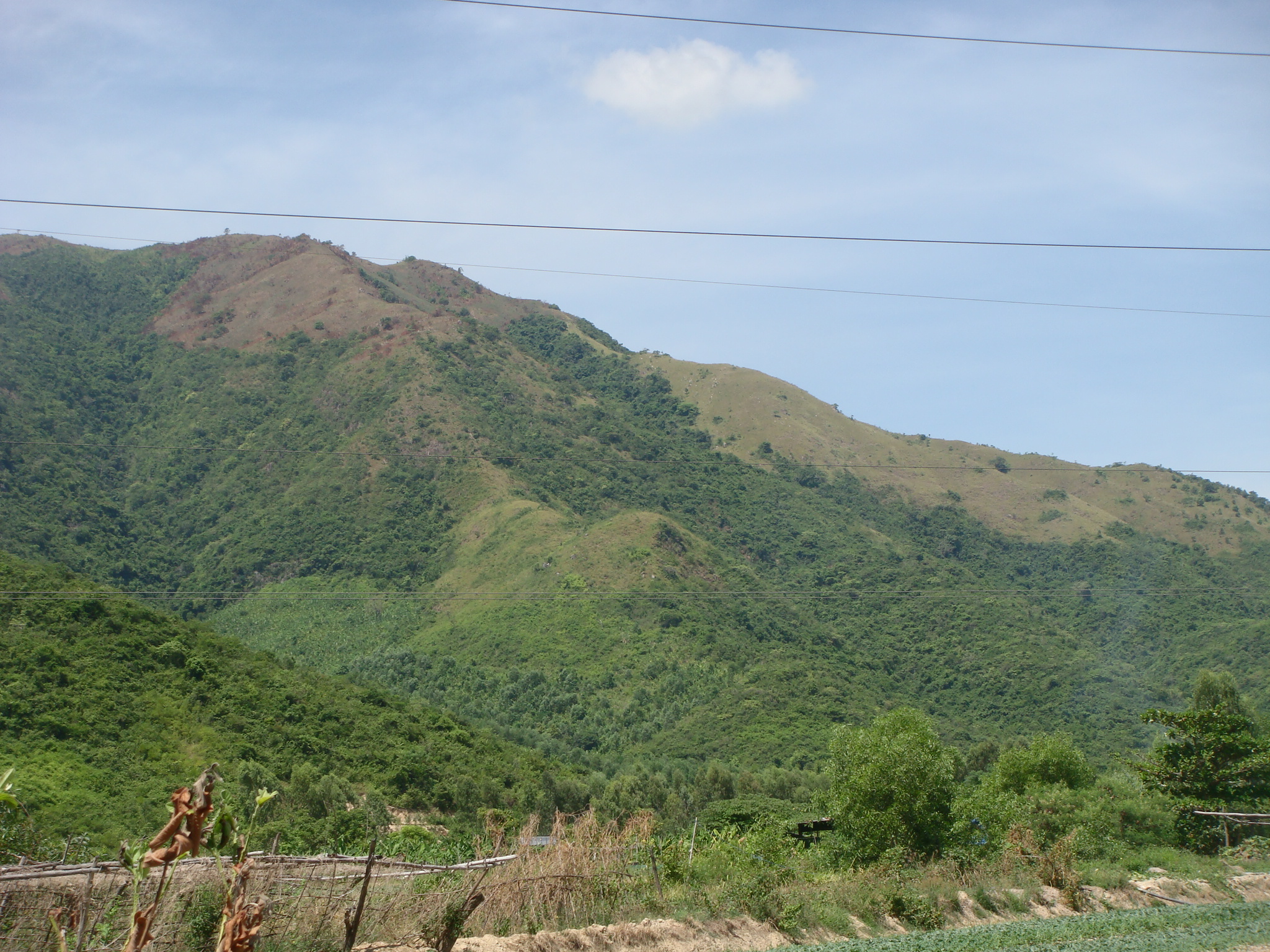 DSC01818.JPG