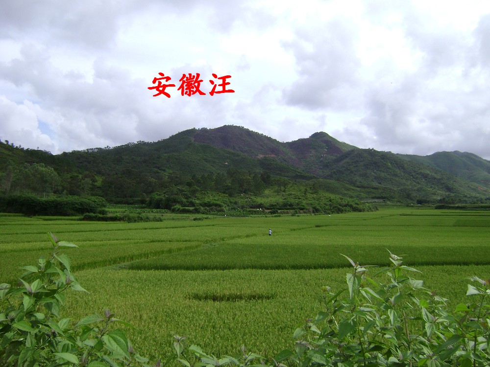 DSC03195.JPG