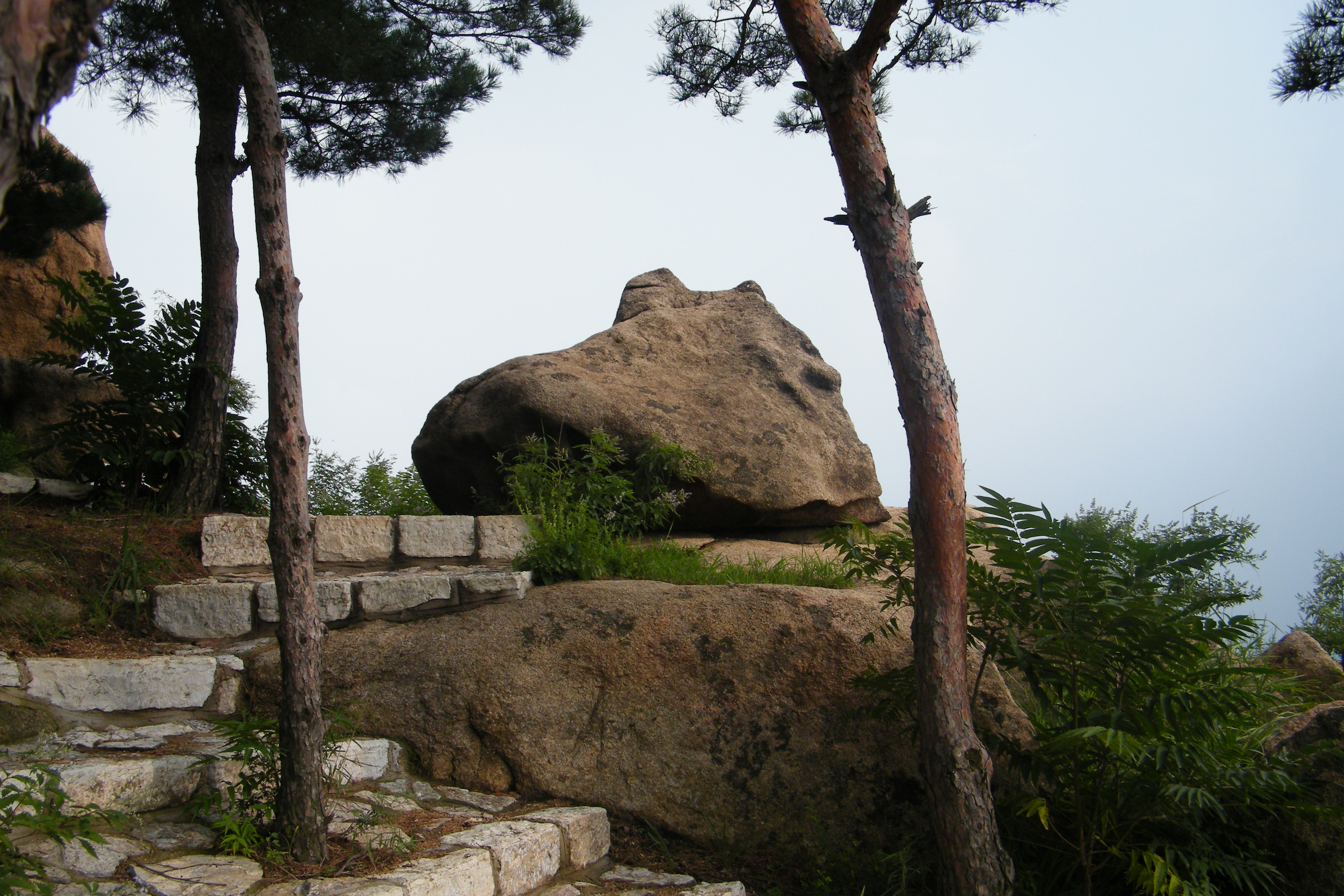 DSCF0202.jpg