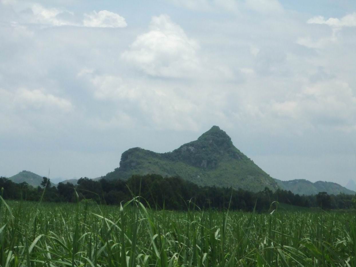 DSCF1745.JPG