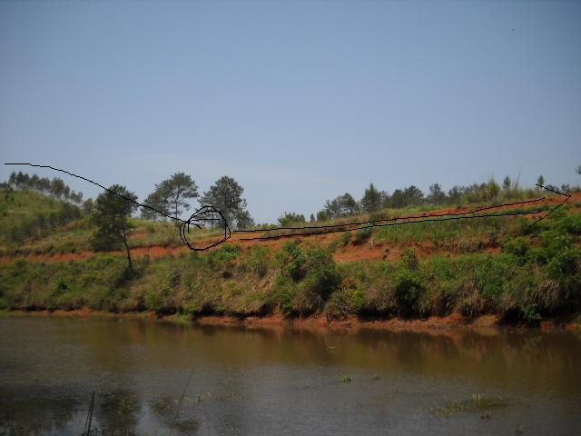 站在白虎砂下看1