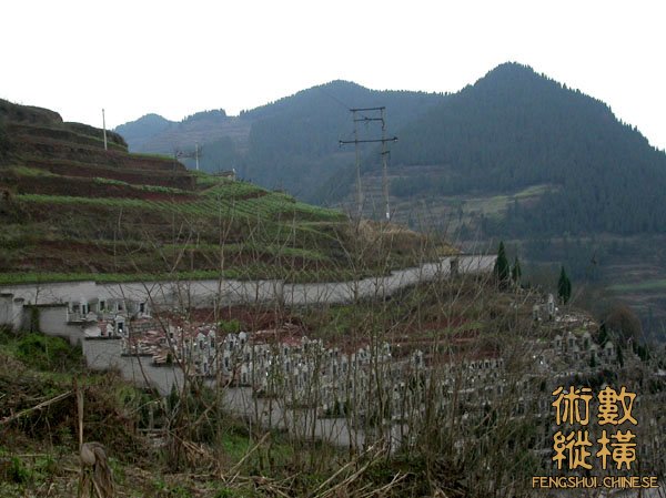 DSCN2494.jpg