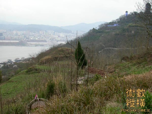 DSCN2504.jpg