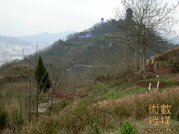 DSCN2505.jpg