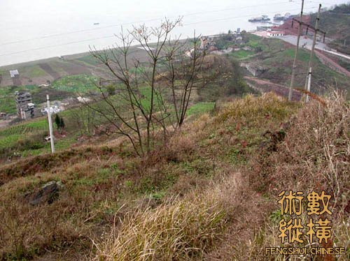 DSCN2511.jpg