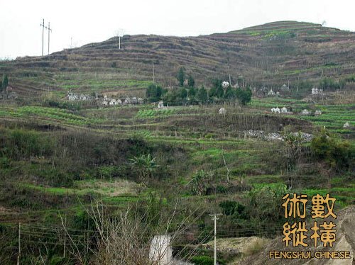 DSCN2547.jpg