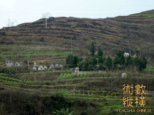 DSCN2549.jpg