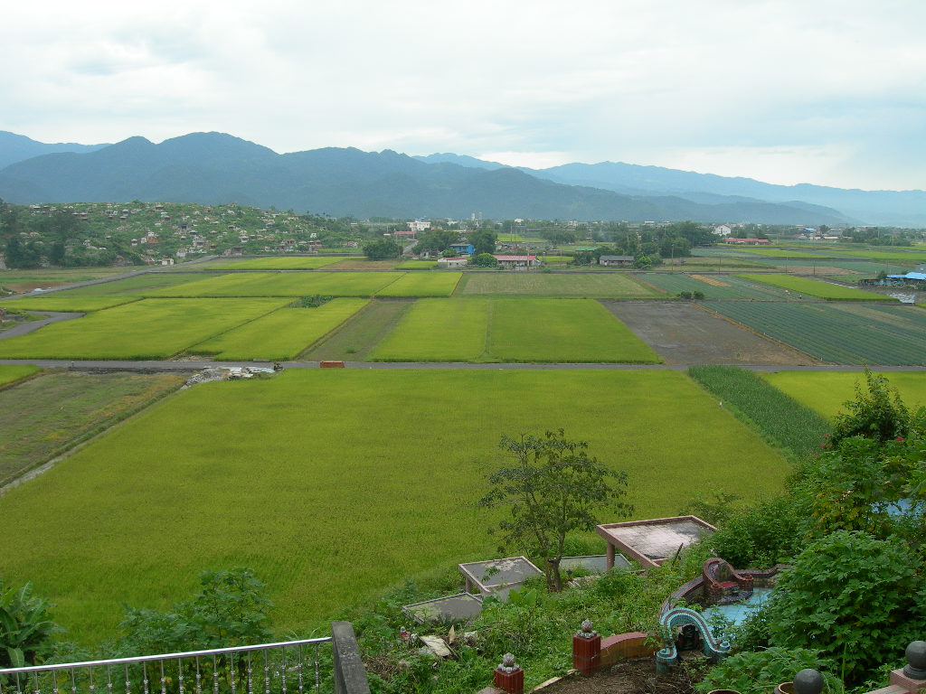 DSCN3078.JPG