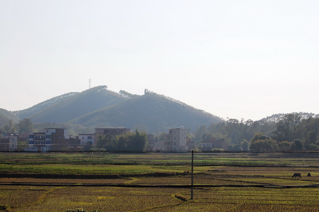 DSC_0188.jpg