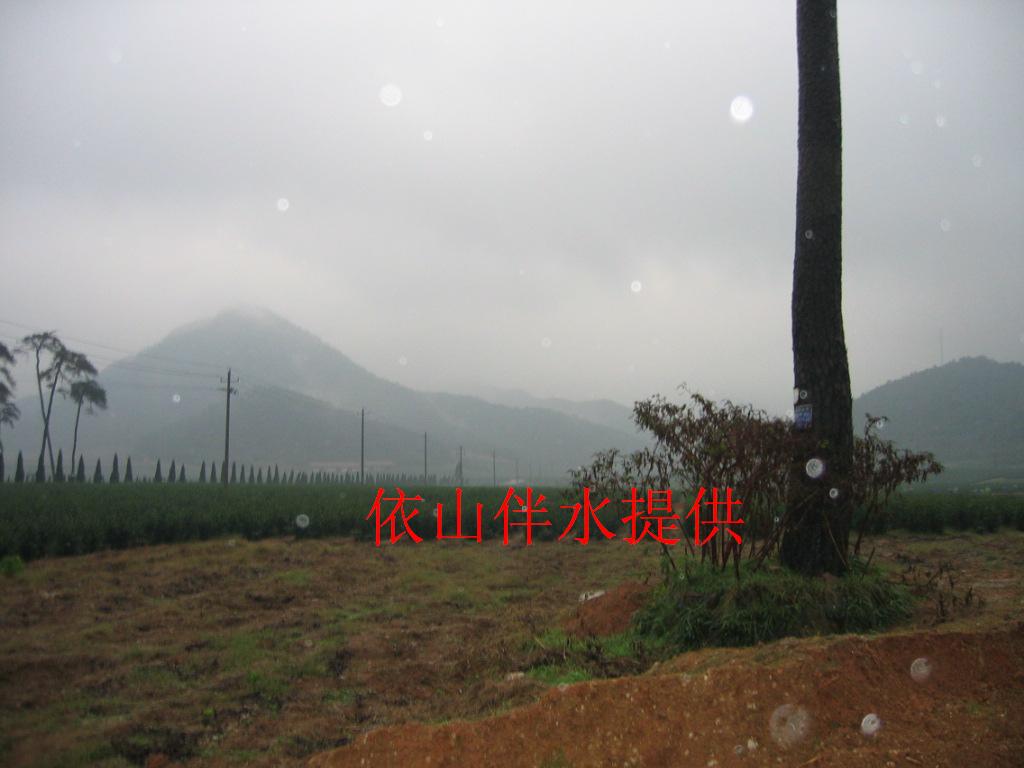 IMG_0003.JPG
