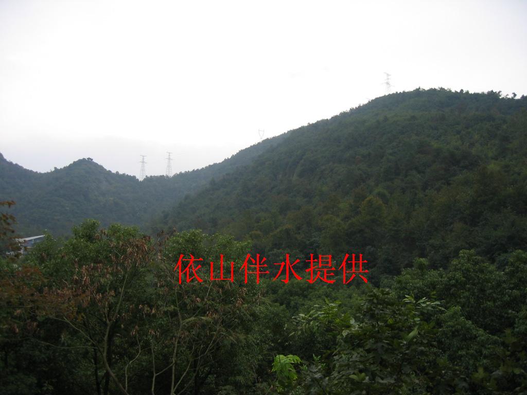 IMG_0011.JPG