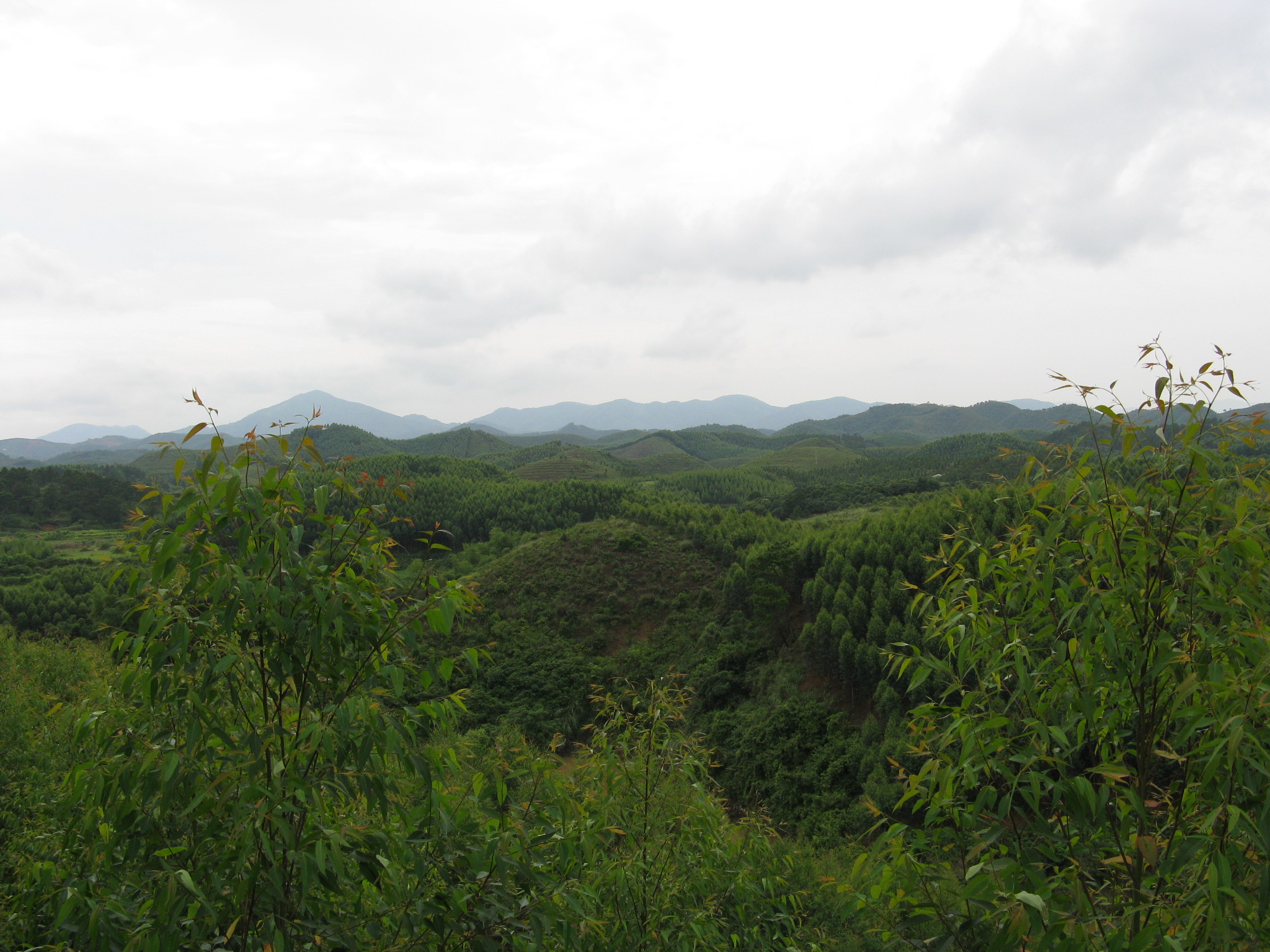 IMG_0011.JPG