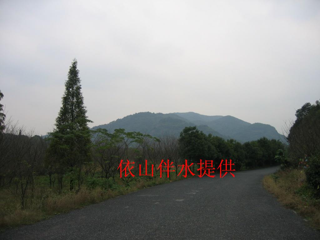 IMG_0071.JPG