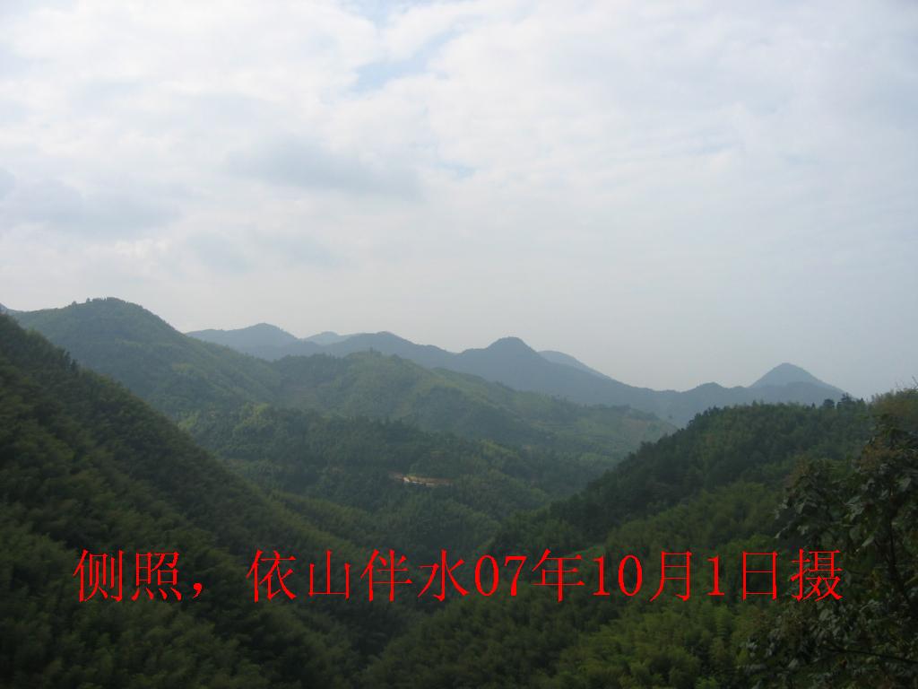 IMG_0122A.JPG