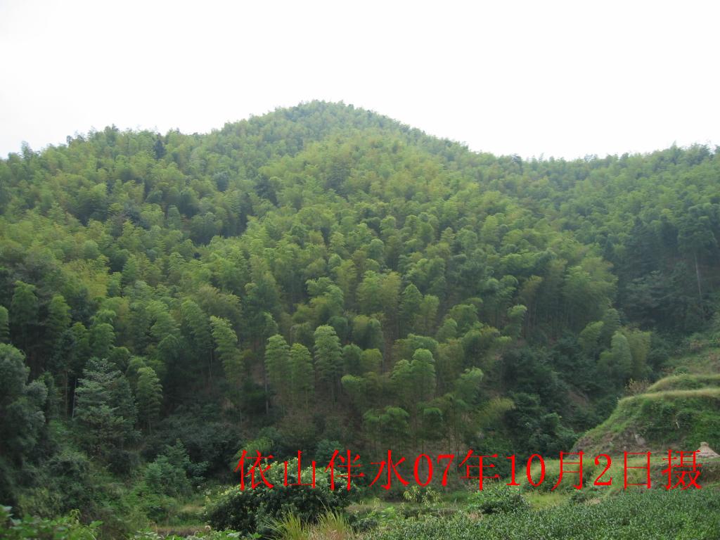 IMG_0157A.JPG
