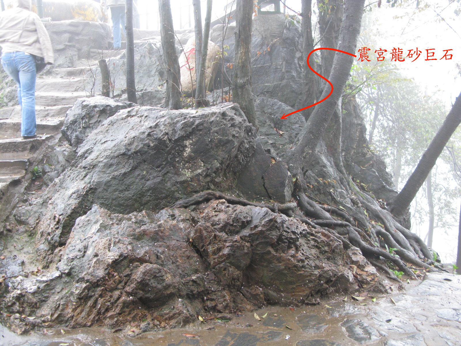 震宮龍砂巨石