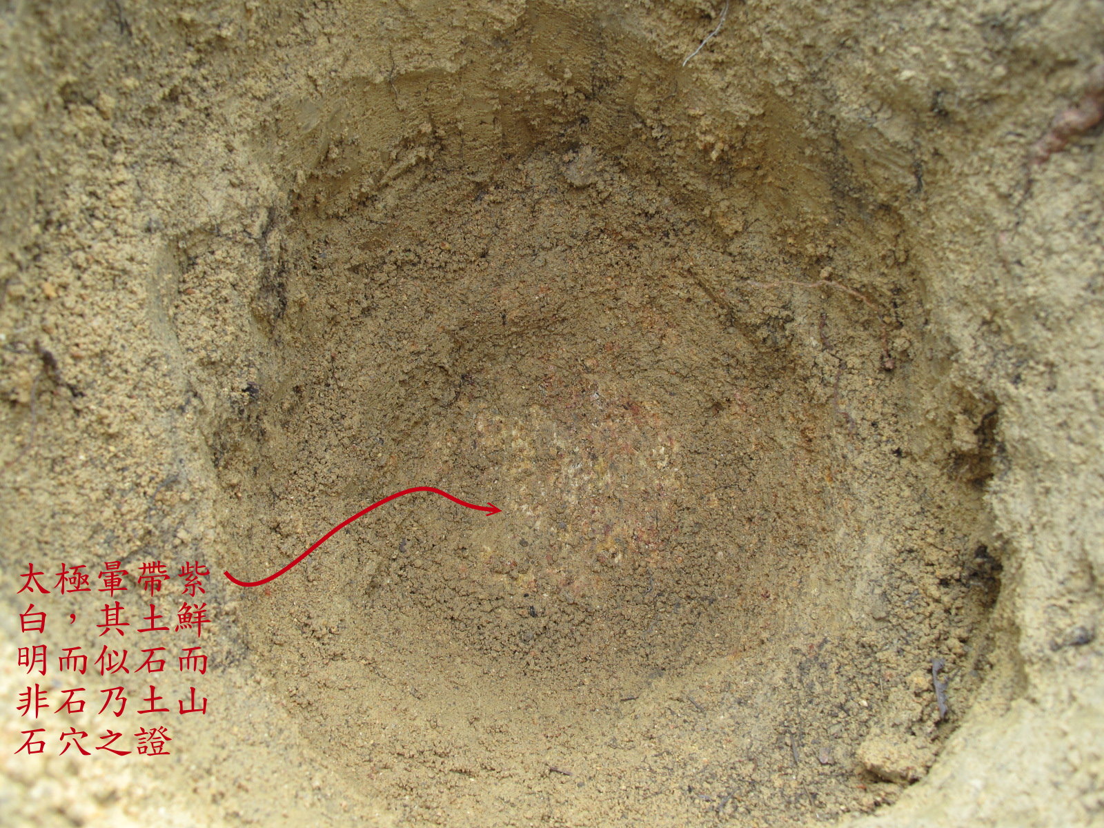 IMG_1422a.jpg