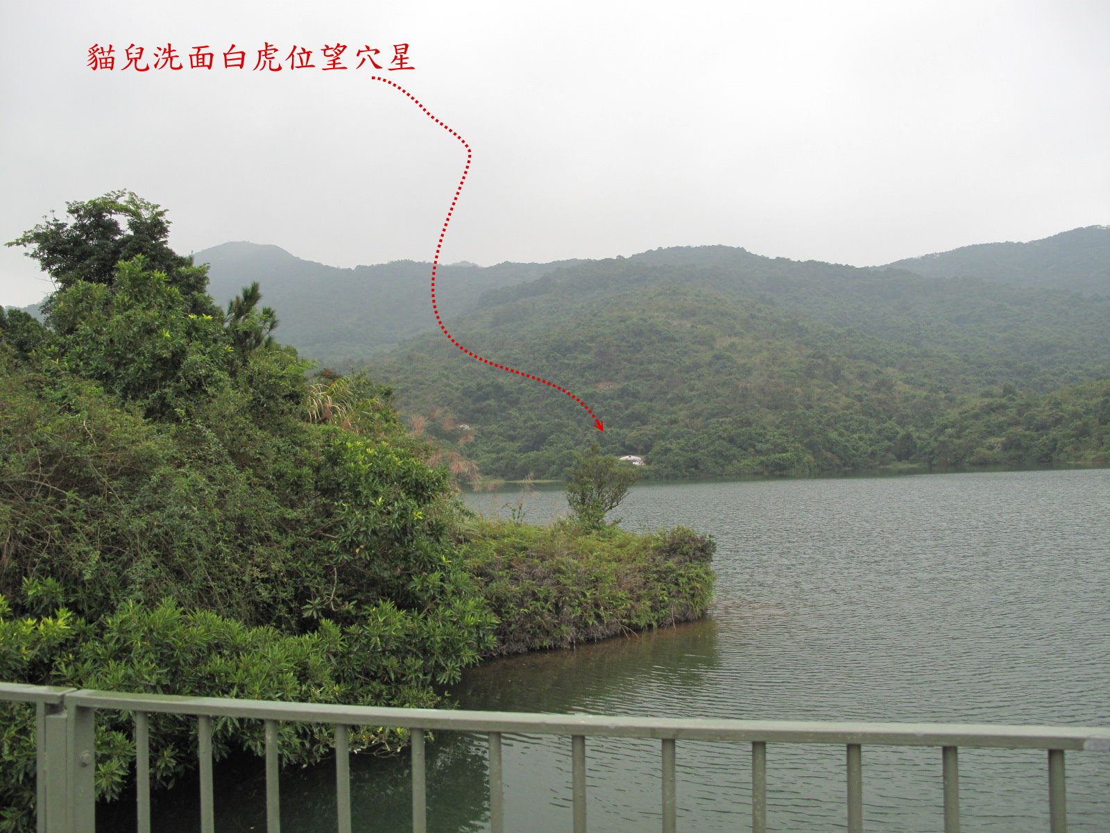 貓兒洗面白虎位望穴星