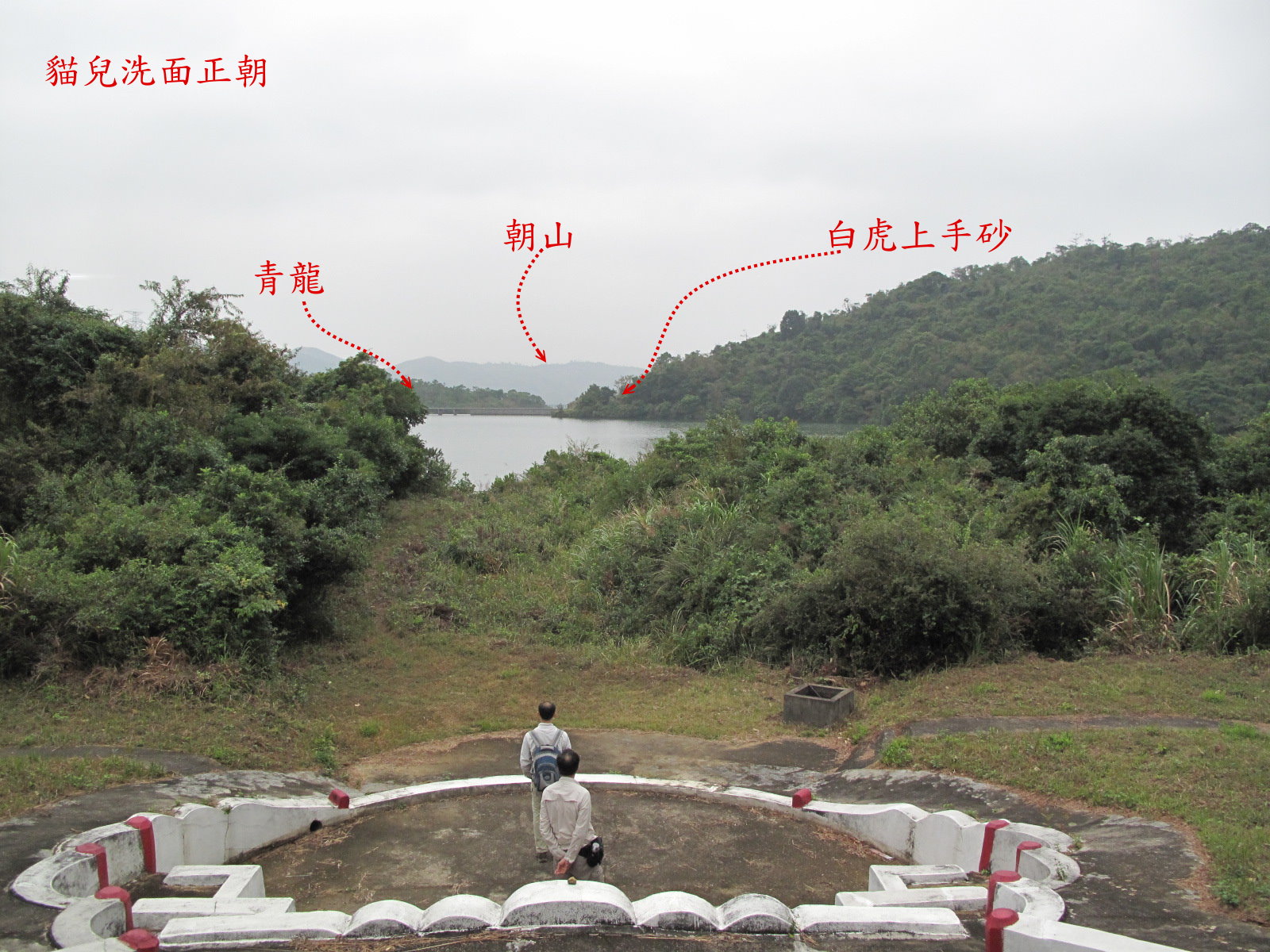 貓兒洗面正朝