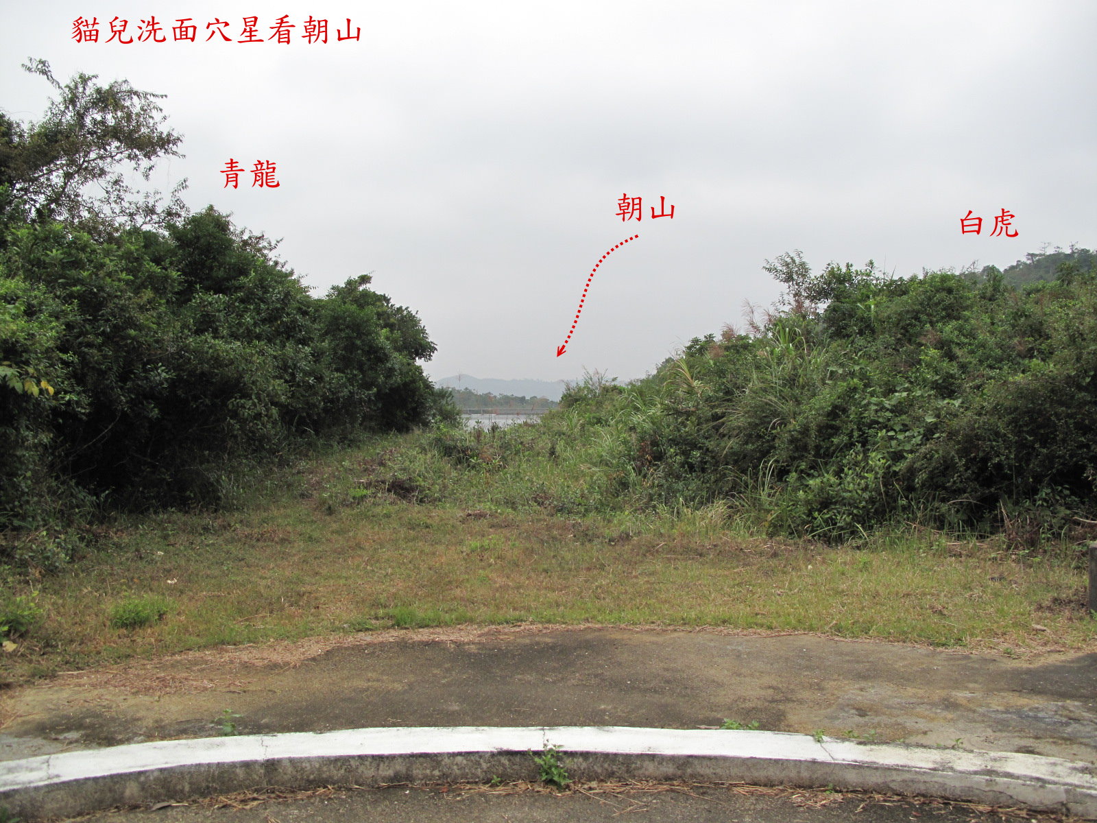貓兒洗面穴星看朝山