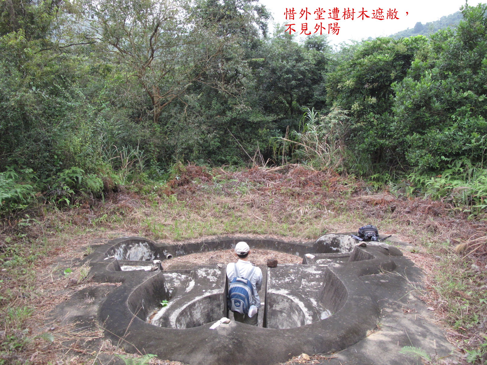 外堂遭樹木所遮掩，不見外陽