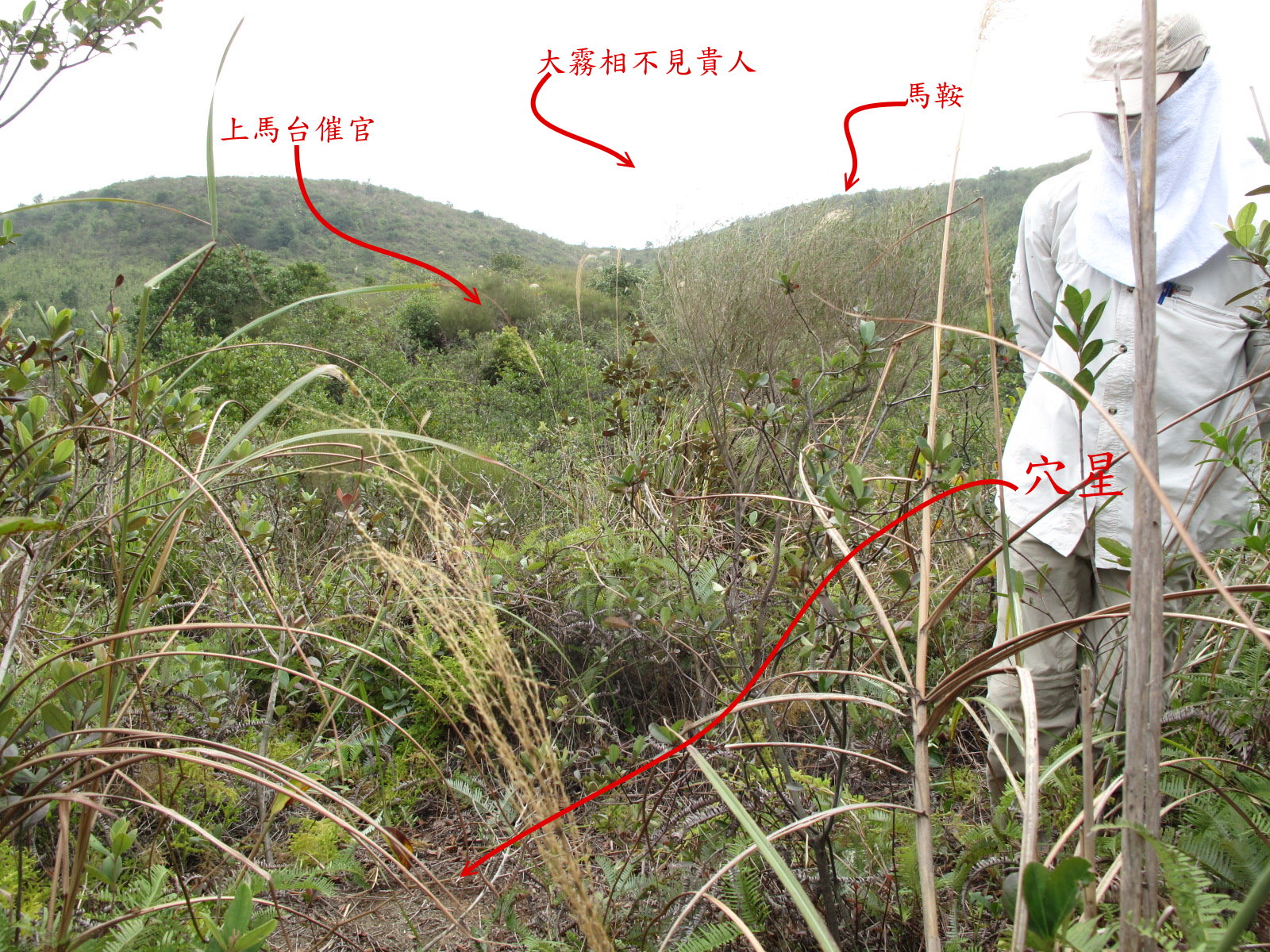 開金探脈