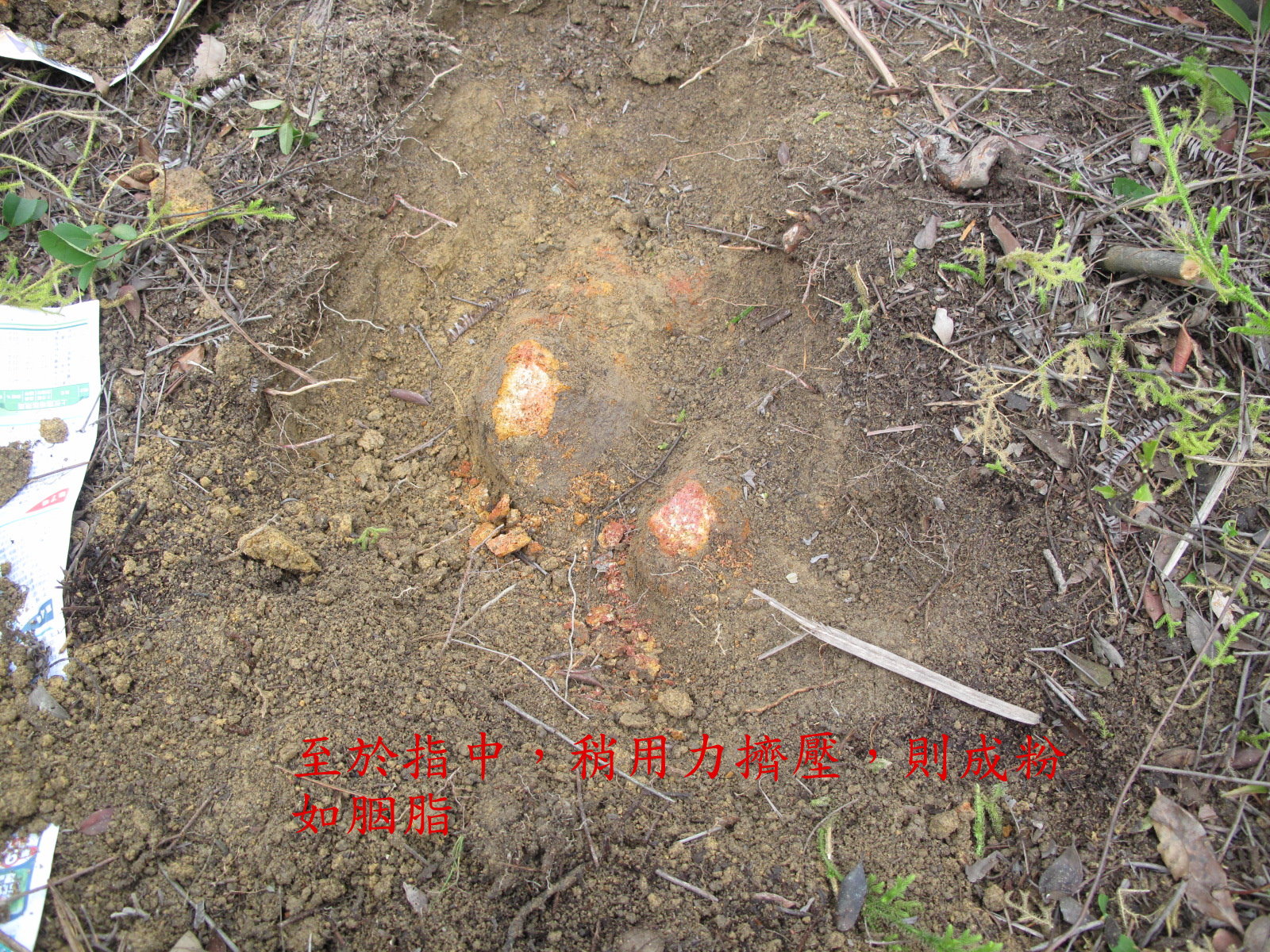 幼嫩如胭脂如粉