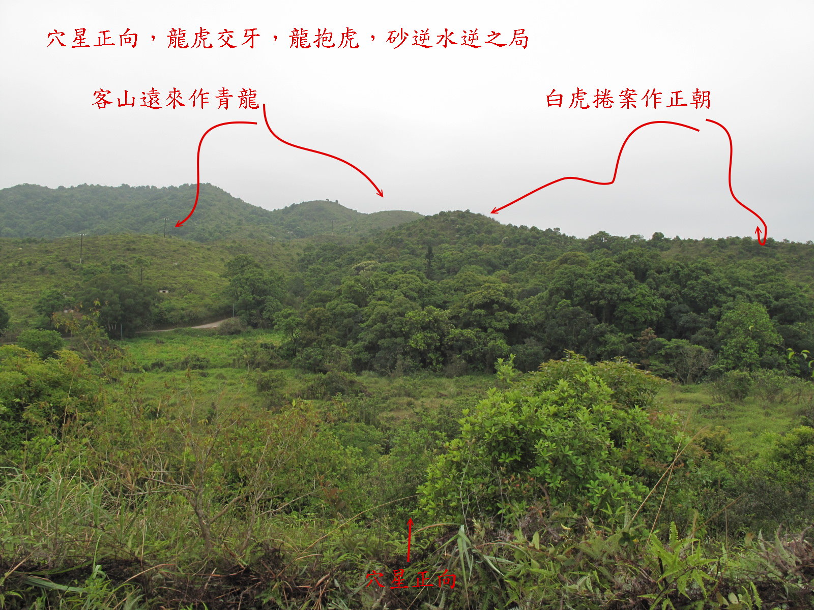 相片為穴星正向
