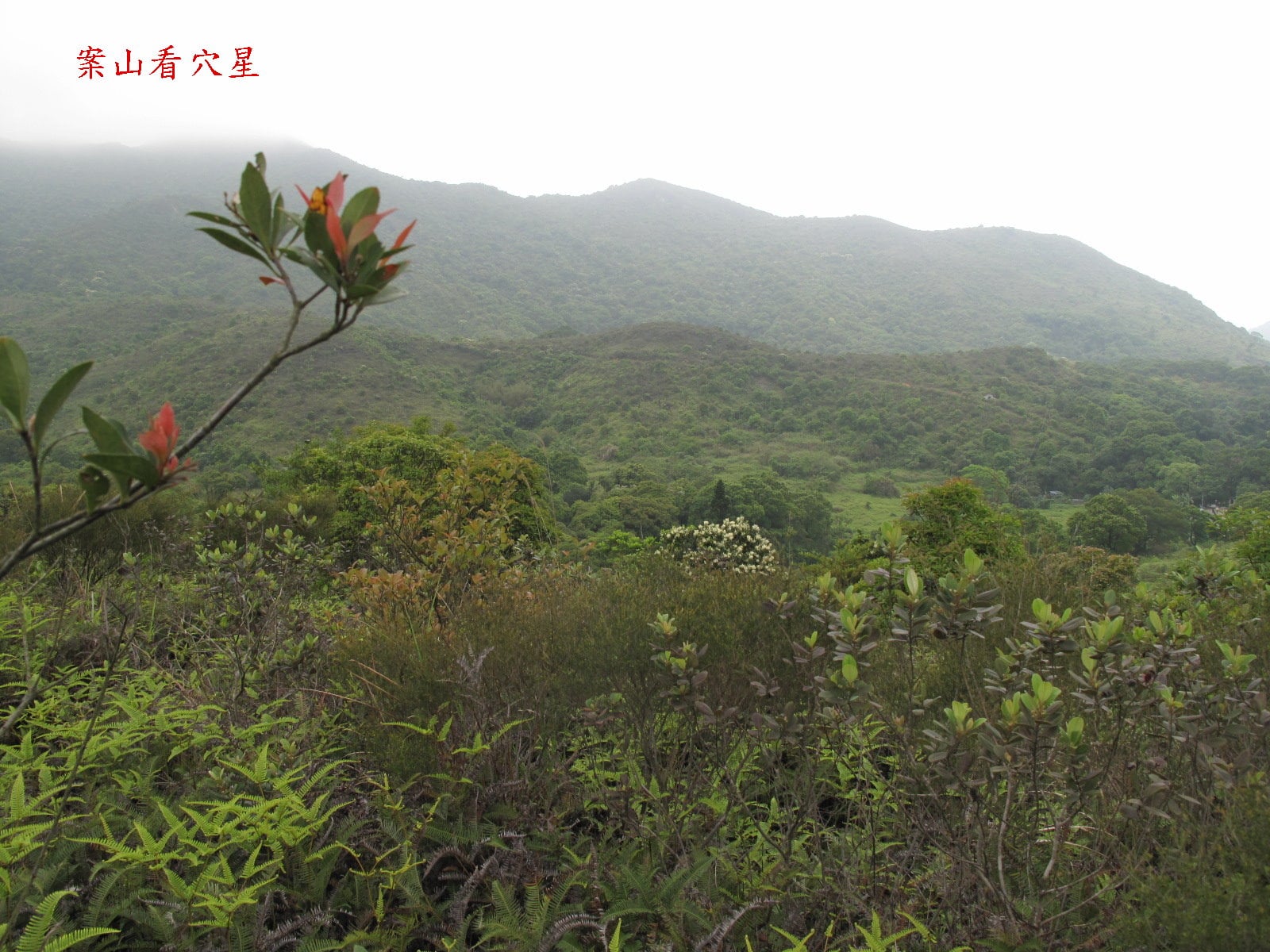 相片為案山看穴星