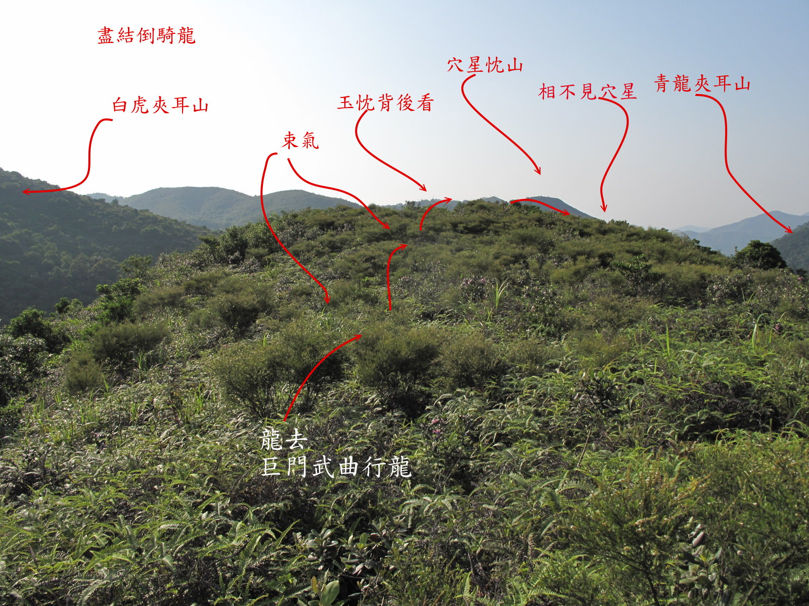 來龍作催官玉忱