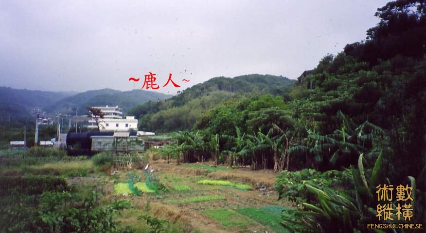 Image-660.JPG