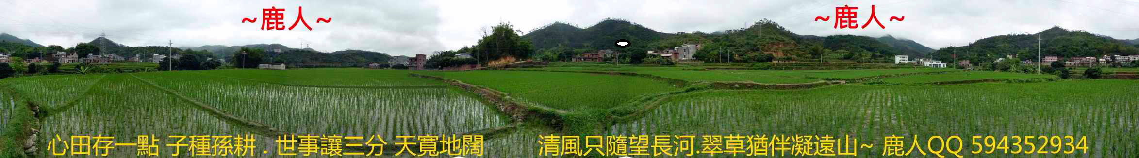 试点.jpg